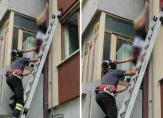 Anziana cade dal terrazzo del secondo piano: storia di un miracoloso salvataggio news-06082024-191918