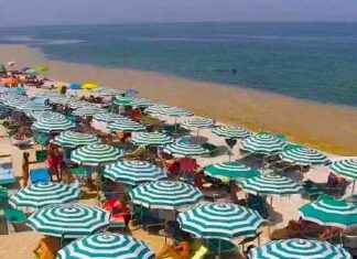 Mucillagine nelle Marche: formazione e balneazione in mare. news-06082024-192800