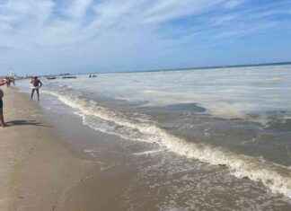 Mucillagine in Adriatico: Origine e Prospettive future. news-06082024-193255