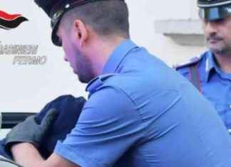 Fermo: Rapina e Furti, Tre Persone Coinvolte news-09082024-164104