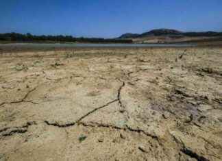 Emergenza Acqua in Stalle e Campagne: Coldiretti Puglia – Ansa.it news-10082024-044944