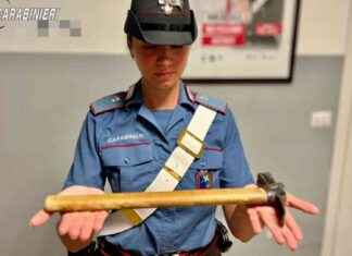 Donna distrugge furgone a martellate a Poviglio per gelosia news-10082024-104246