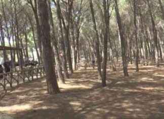 Divieti e misure a tutela delle aree verdi di Catanzaro: l’ordinanza del sindaco per Ferragosto news-12082024-224512