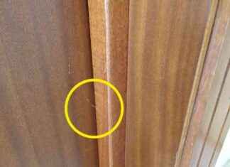 Tecniche Innovative dei Ladri d’Appartamento: Il Decoder Topolino e il Silicone news-14082024-182954