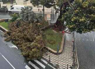 Maltempo in Liguria: danni nell’Imperiese e terrore alla Palmaria nel Levante. news-15082024-141636