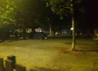 Degrado nel giardino della scuola Marconi di Bologna: Cosa fare? news-15082024-203736