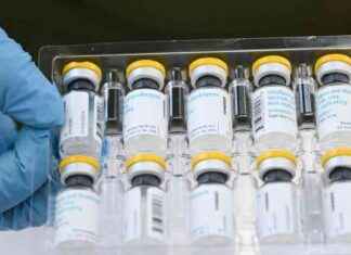 Primo caso di vaiolo delle scimmie in Europa: situazione emergenza internazionale – OMS news-15082024-203818