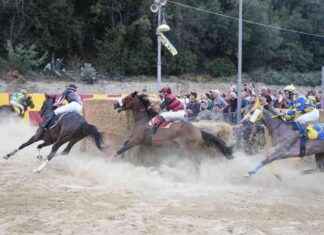 Vittoria della contrada Torre di Palme alla Cavalcata dell’Assunta a Fermo news-16082024-023848