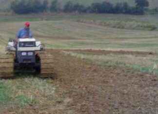 Uomo investito e ucciso dal figlio con il trattore durante una manovra in retromarcia news-16082024-084105