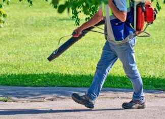 Disinfestazione da West Nile: interventi nei parchi e per gli eventi serali a Bologna news-16082024-204727