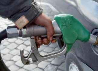 Furti di carburante e clonazione di carte: arrestato il leader degli skimmer news-22082024-155207