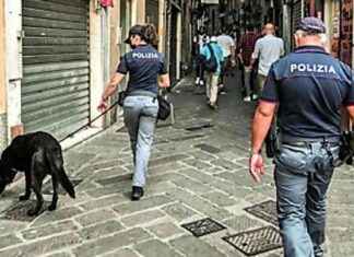 Operazione antidroga a Genova: arresti e denunce a Caricamento news-25082024-111952