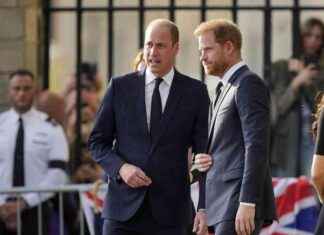 Il gelo tra William e Harry al funerale dello zio: le distanze mantenute news-31082024-115815