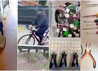 Arrestati due ladri per furti in casa a Bologna: gioielli e orologi per 70mila euro rubati news-04092024-121830