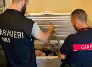 Controlli Anti-Peste Suina: Parma, Prodotti Irregolari in Ristorante sull’Appennino news-10092024-120500