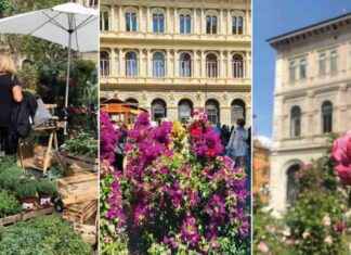 Mostra Mercato Bologna In Fiore: Date e Info sulla Colorata Fiera news-10092024-180713