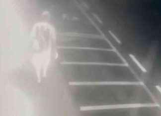 Identificato Said Malkoun: l’uomo travolto e ucciso a Viareggio news-10092024-180751