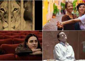 Venezia 81: Premi Collaterali e Fuori Concorso con Elio Germano e Luigi Comencini news-10092024-180948