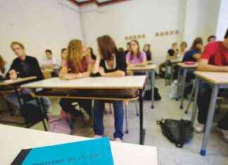 Neutralità di genere nelle scuole: analisi sull’allarmismo – Il Fatto Quotidiano news-13092024-193241