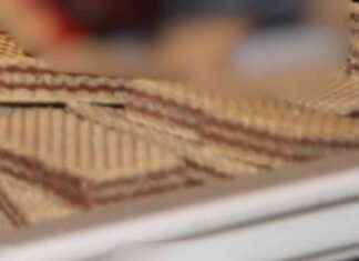 Biscotto con sorpresa orribile: donna trova pezzi di topo nella confezione – Notizia choc – Il Fatto Quotidiano news-16092024-194718