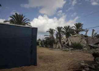 Guerra Israele-Hamas: Blinken in Egitto per la pace – Ultime notizie news-17092024-035230