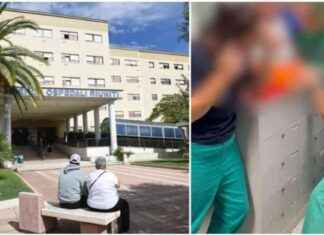 Indagati 20 medici e infermieri per la morte di ragazza a Foggia: parenti aggrediscono personale ospedaliero news-17092024-120011