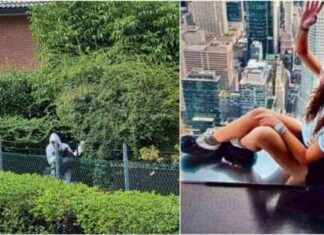 Bimbi sepolti in giardino: nuovi scavi nella villetta di Ris di Parma news-18092024-002148