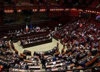 La legalizzazione della cannabis light in Italia: una vittoria per i diritti individuali news-19092024-003319