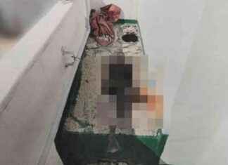 Scoperta choc: fidanzata uccisa e nascosta in valigia sul balcone per 16 anni news-25092024-124804