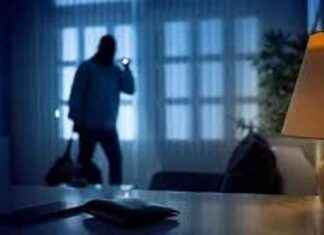 Ladri portano via cane in carrozzina di una 12enne: Appello del papà per il ritorno dell’amico peloso news-30092024-013350