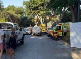 Attentati terroristici a Berlino e Libano: ultime notizie su Israele. news-20102024-091207