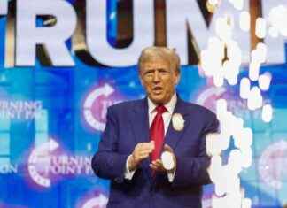 Accusa di molestie: Ex modella contro Donald Trump e Jeffrey Epstein alla Trump Tower news-24102024-034856