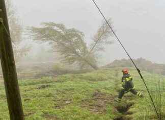 Allerta meteo Emilia-Romagna: evacuazioni, frana Appennino, Partita Bologna-Milan rischio rinvio news-25102024-160126