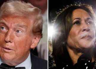 Elezione USA: Trump vs Harris, Ultimi Aggiornamenti in Diretta. Tycoon e Vicepresidente Confronto. news-29102024-045035