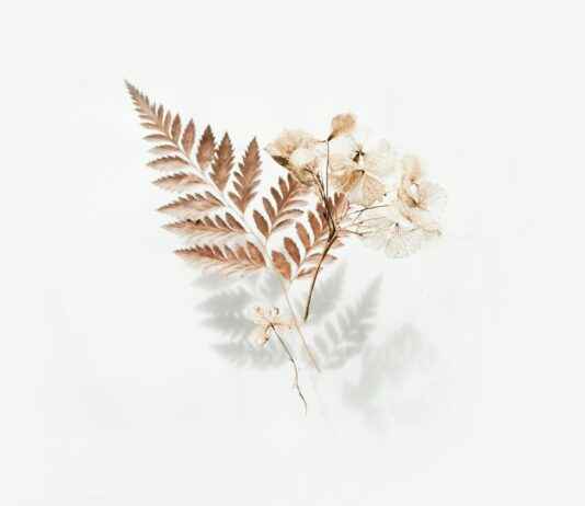 Dieci Lotto Ogni 5 Minuti Diretta: Tutto Sulle Estrazioni Di Oggi Dieci Lotto Ogni 5 Minuti Diretta: Tutto Sulle Estrazioni Di Oggi