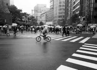 Estrazione 5 Minuti In Diretta: Dove Seguirla E Come Giocare Estrazione 5 Minuti In Diretta: Dove Seguirla E Come Giocare