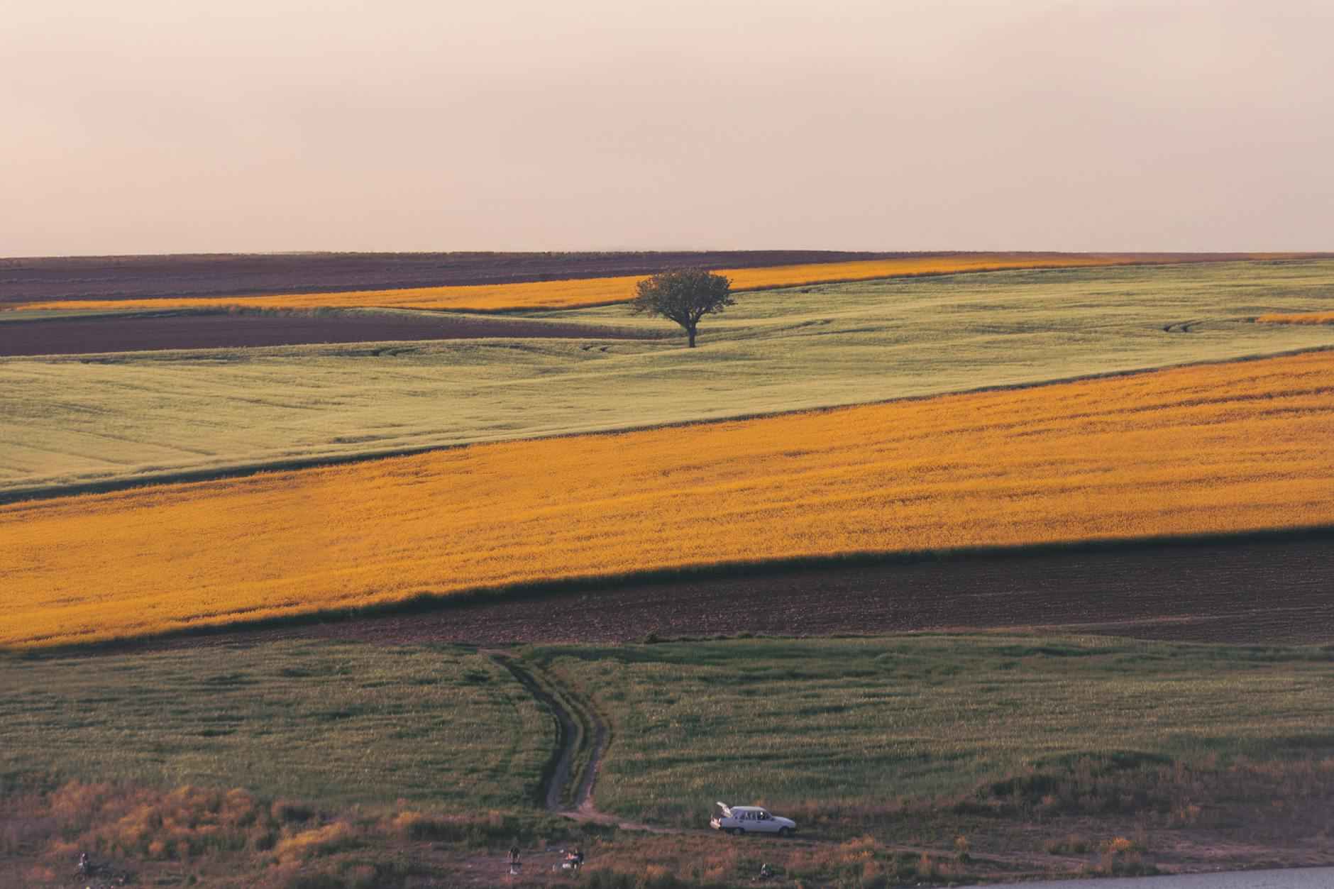 Buongiorno Domenica: Le Parole Più Belle Per Il Weekend 4 La Bellezza della Natura