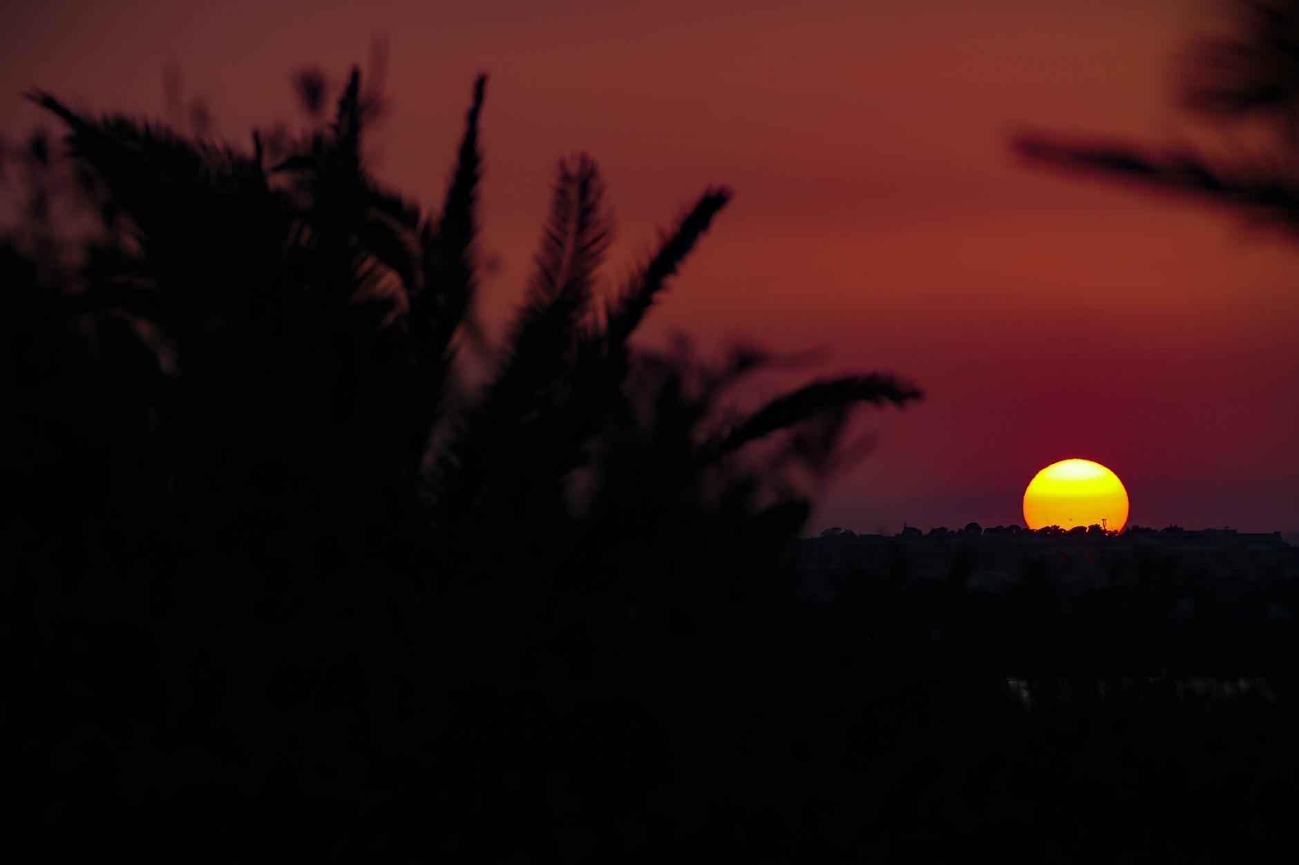 Cronaca Cagliari Calcio - Inter: La Gara Minuto Per Minuto 2 Formazioni Iniziali