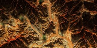 Anatomia Di Una Caduta: Scopri I Segreti Dietro Il Dramma