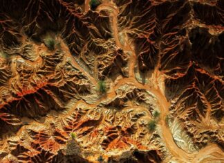 Anatomia Di Una Caduta: Scopri I Segreti Dietro Il Dramma