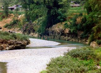 Streaming Community Nuovo Link: Scopri Come Accedere Subito!