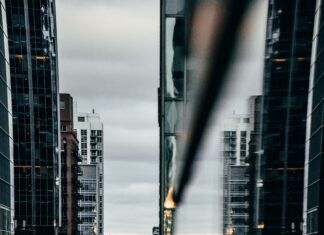 Il Regno Del Pianeta Delle Scimmie: Scopri Il Mistero Incredibile