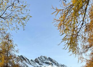 Fascicolo Sanitario Elettronico Lombardia: Come Semplifica La Vita?