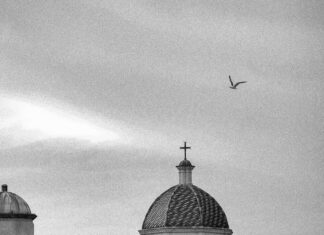 Programma E Risultati Di Olimpiadi: Scopri Tutte Le Sorprese!