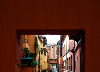 Formazioni As Roma Bologna Fc: Scopri Le Sorprese Delle Squadre