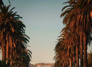 La Parola Di Oggi: Scopri Il Significato Che Cambierà La Tua Vita