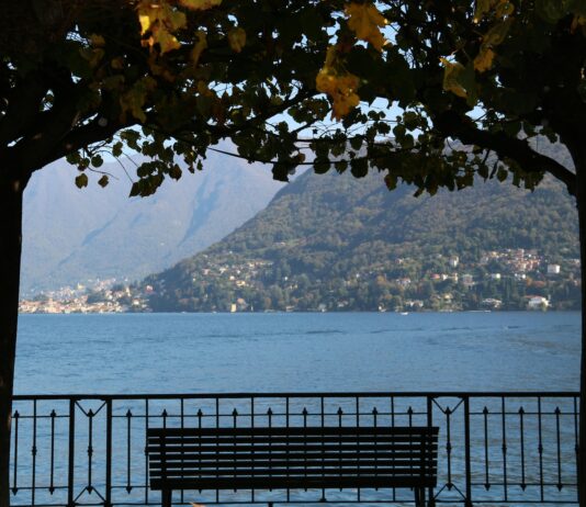 Cronaca ACF Fiorentina Como: Scopri Tutti I Segreti Della Partita