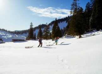 Celtic Bayern Monaco: Sfida Epica Che Cambierà Il Calcio Europeo
