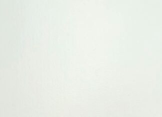 Giornata Internazionale Della Donna: Scopri Il Suo Vero Significato!