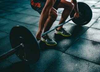 Statistiche Associazione Calcio Monza – Inter: Scontro Totale Statistiche Associazione Calcio Monza - Inter: Scontro Totale